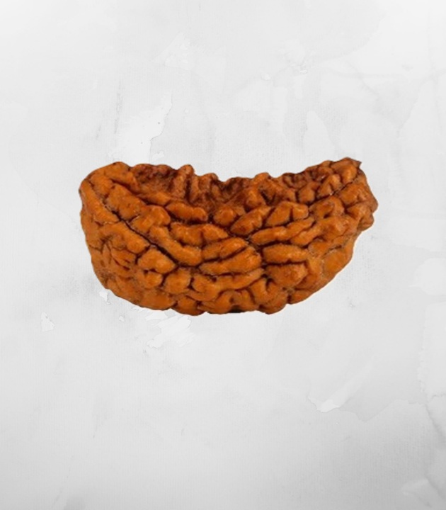 1-mukhi-2.jpg