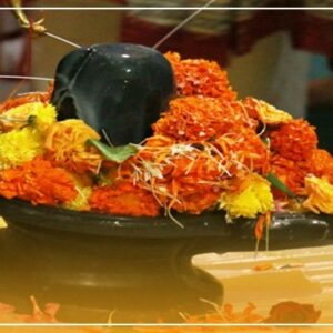 Rudrabhishek Puja (रुद्राभिषेक पूजा)