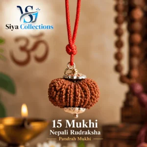 15 Mukhi Nepali Rudraksha – Pandrah Mukhi
