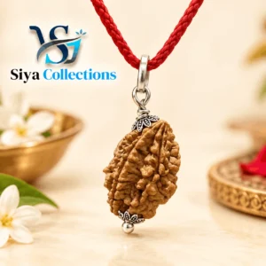 2 Mukhi Nepali Rudraksha - Do Mukhi